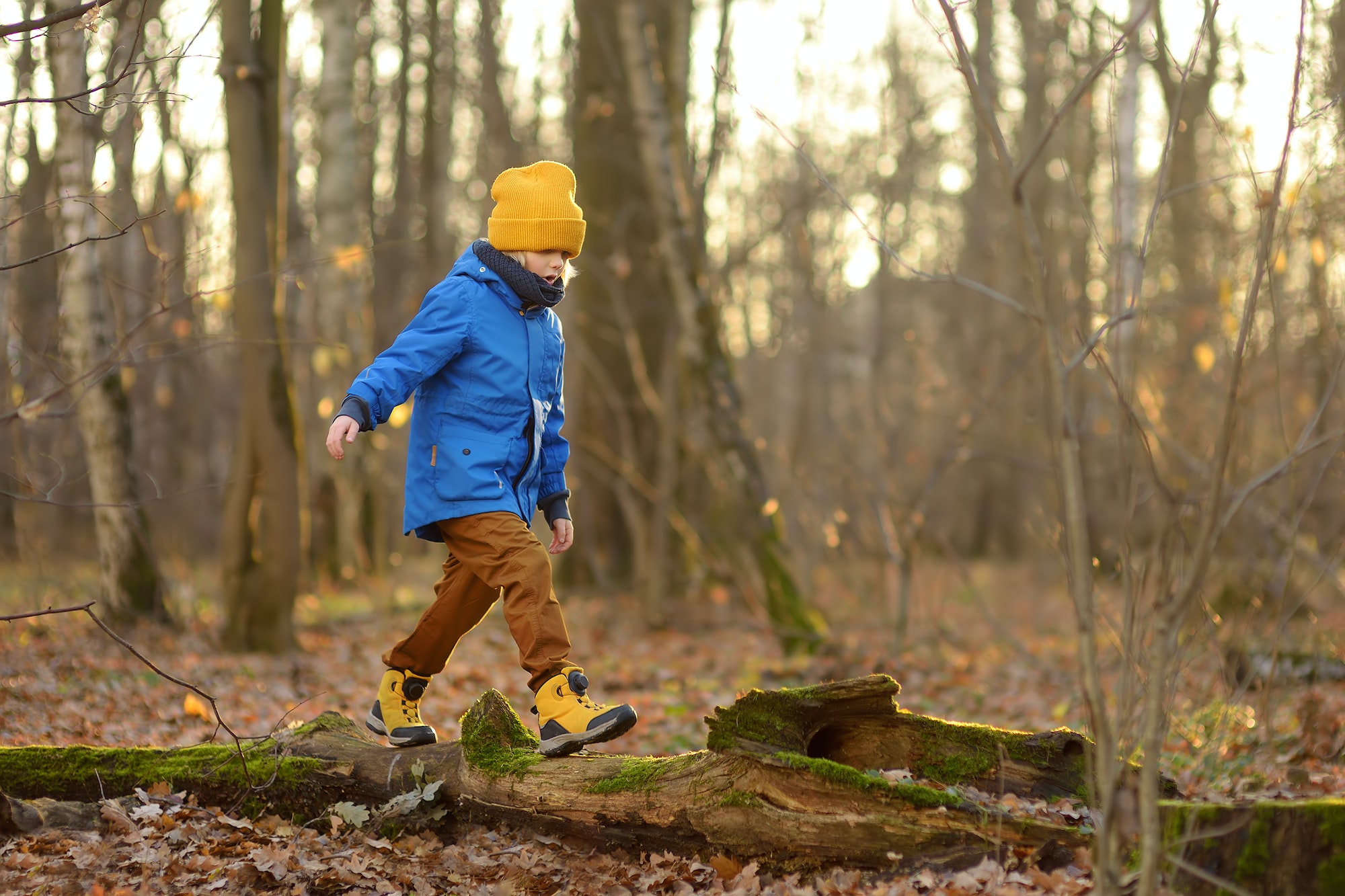 Cheerful child during walk in the forest on a sunny autumn day. El Olivo Nature & Life Actividades extraescolares en la naturaleza para niños en Finestrat, Alicante