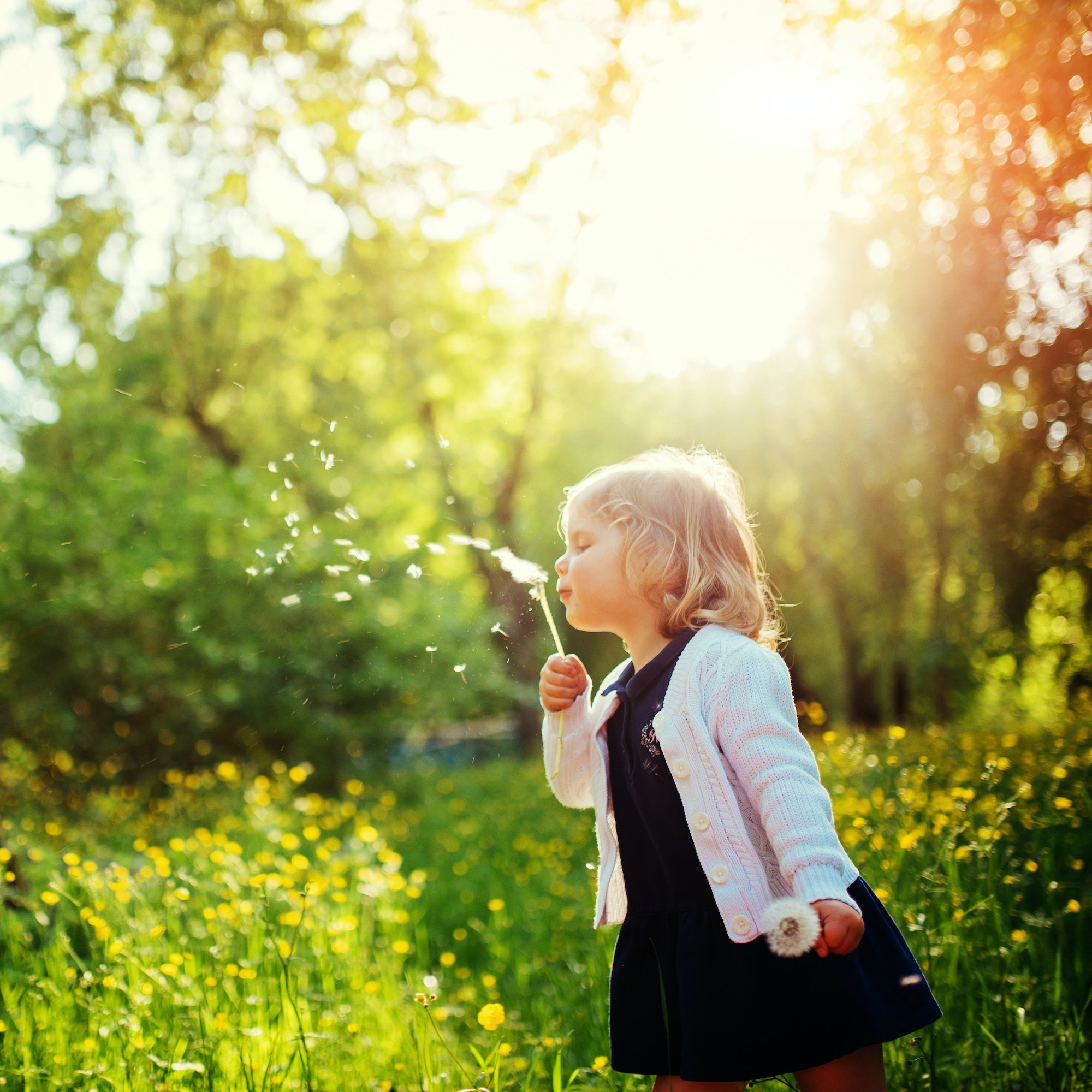 child with dandelion. El Olivo Nature & Life Actividades extraescolares en la naturaleza para niños en Finestrat, Alicante