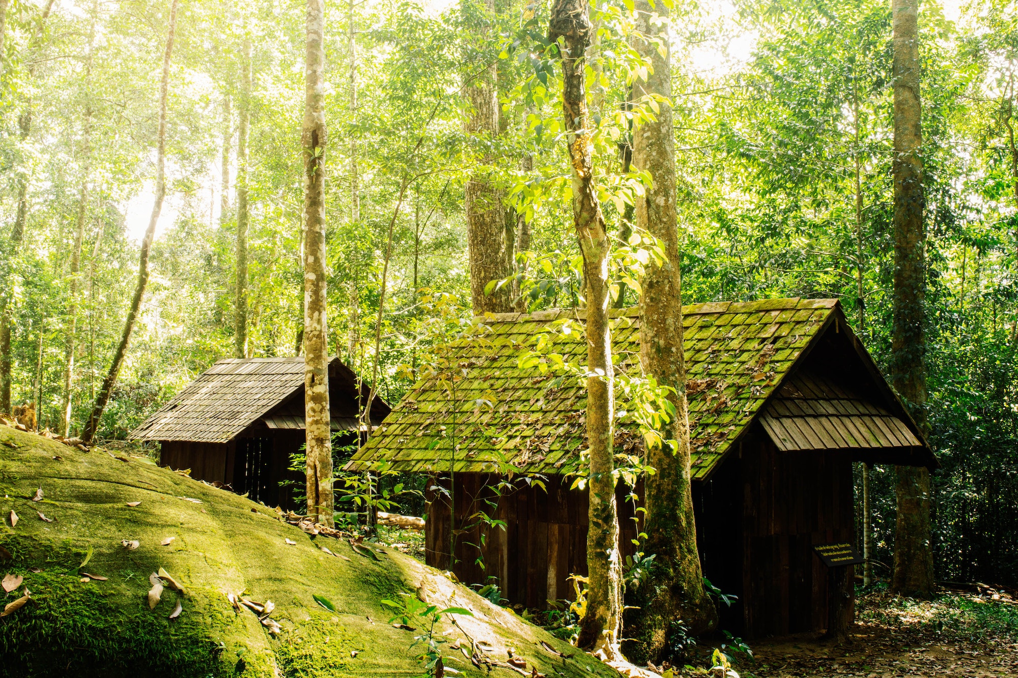 house and stone in forest. El Olivo Nature & Life Conexión en la naturaleza para niños en Finestrat, Alicante.