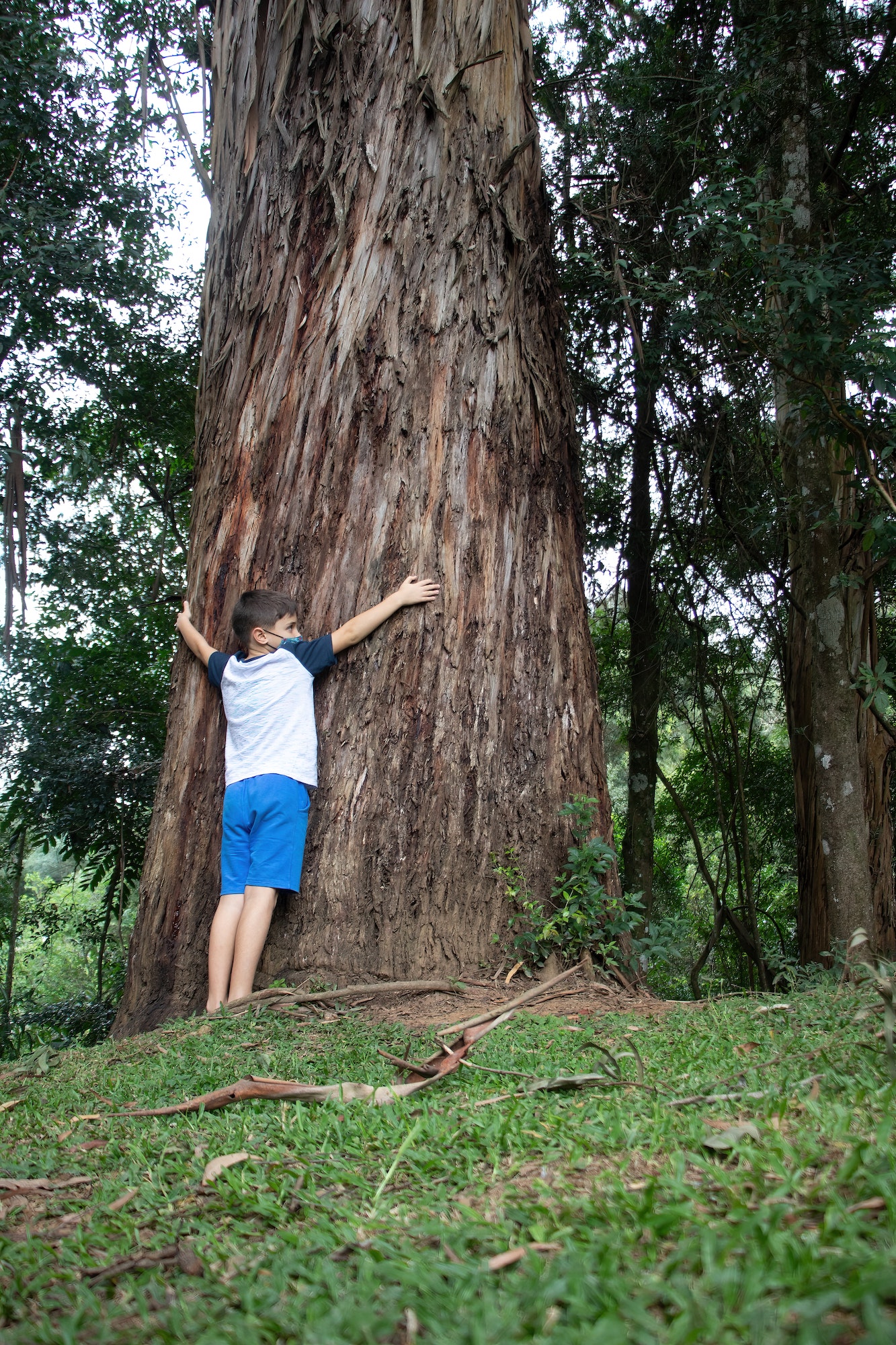 hugging the tree. El Olivo Nature & Life Actividades en la naturaleza para niños en Finestrat, Alicante.